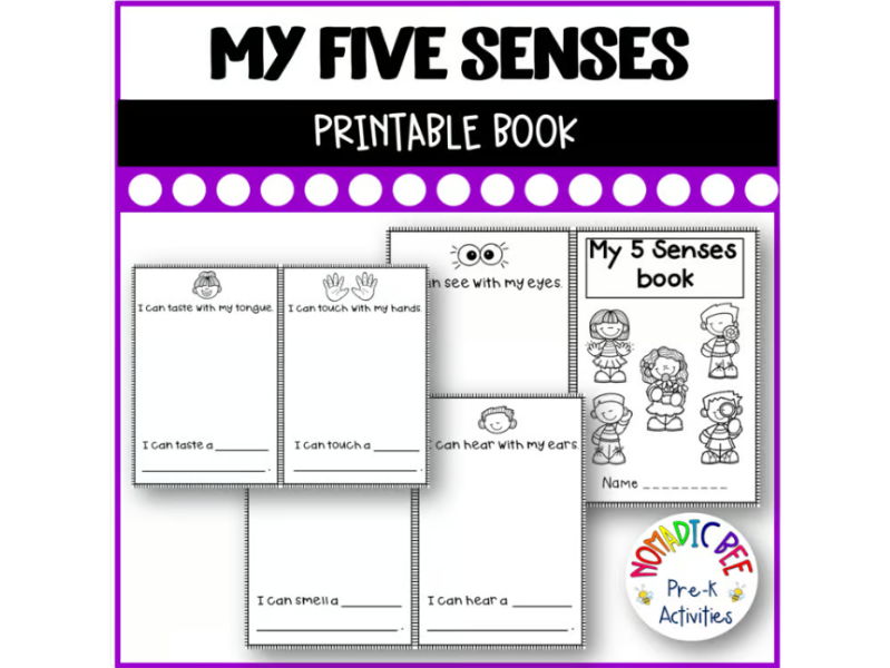 My 5 Senses Printable Book