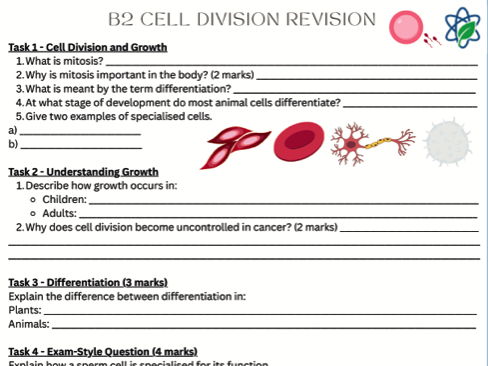 B2/Cell Division Worksheet/With Answers/GCSE/AQA/Combined Science/Biology
