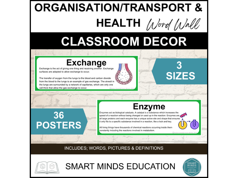 SCIENCE WORD WALL - BIOLOGY B2 - ORGANISATION/TRANSPORT & HEALTH *PRINTABLE* CLASSROOM DISPLAY