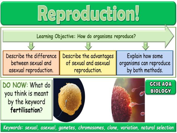 Reproduction AQA GCSE (9-1) Biology