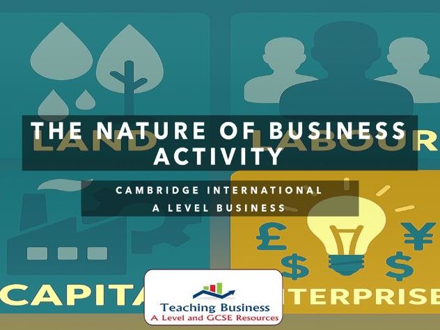 CAIE Business - The Nature of Business Activity