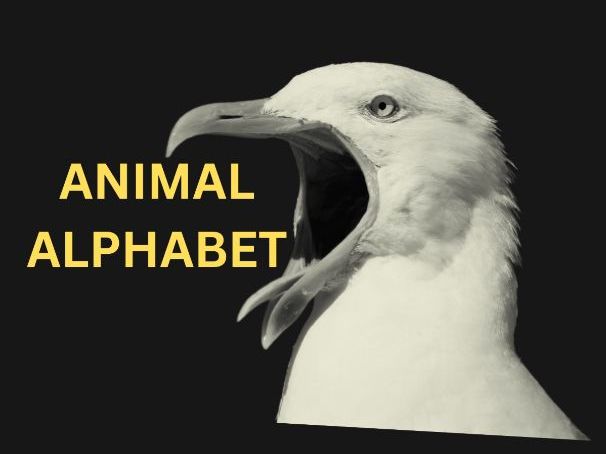 Animal Alphabet