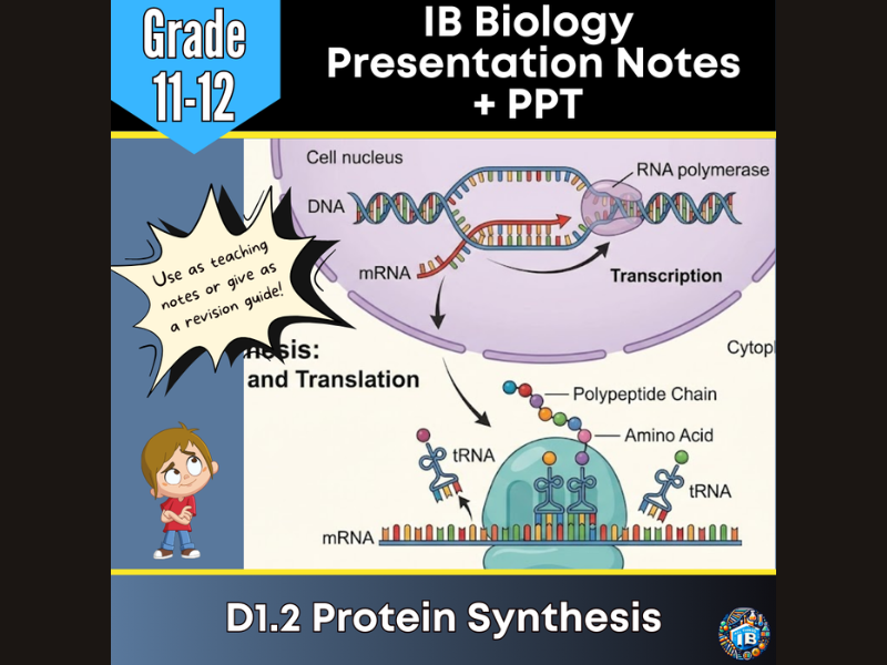 IB DP Biology D1.2 Protein Synthesis Teaching Notes & PowerPoint 2026