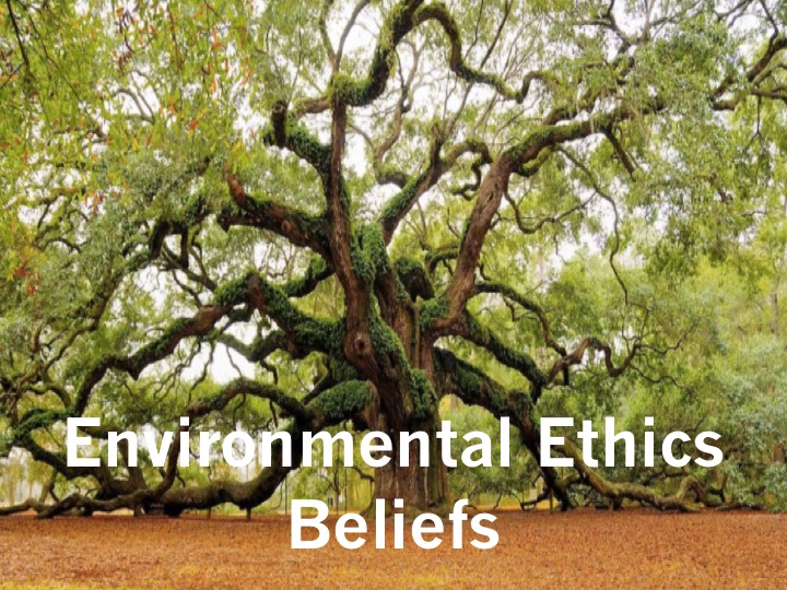Environmental Ethics Beliefs