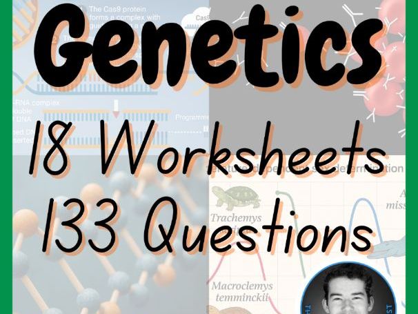 Genetics 18 Worksheets | Middle / High School | AP Biology | Life Sciences