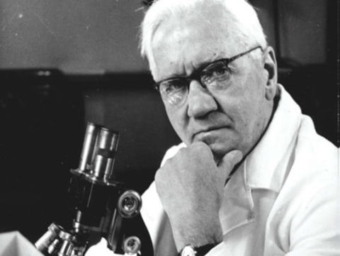 10.1 Period introduction: Fleming and the discovery of penicillin
