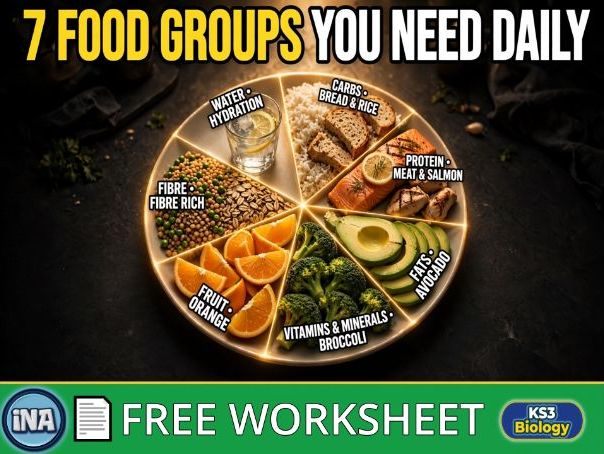 Balanced Diet - FREE KS3 Biology Worksheet