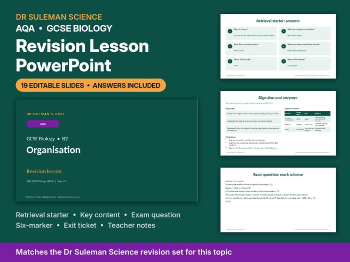 AQA GCSE Biology B2 Organisation Revision Lesson PowerPoint
