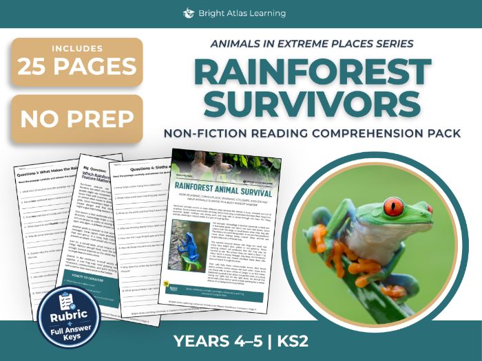 Rainforest Animals Reading Comprehension | KS2 Years 4 & 5