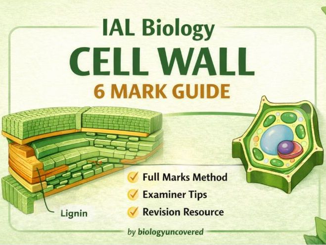 IAL Biology Cell Wall 6 Mark Guide