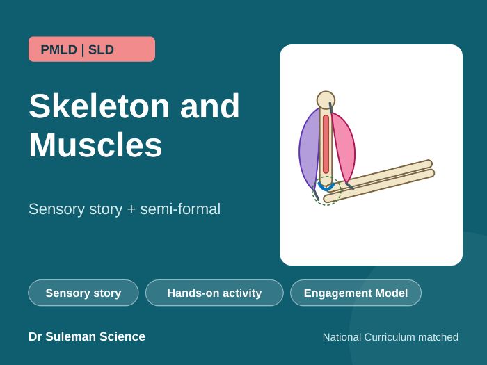 Skeleton and Muscles Sensory Story PMLD SLD