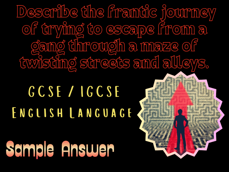 IGCSE English Language: Describe the frantic journey of trying to escape from a gang, Sample Answer