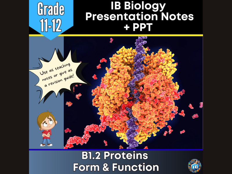 IB DP Biology B1.2 Proteins Teaching Notes & PowerPoint 2026