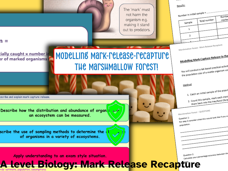 Estimating population size - Mark Release Recapture OCR
