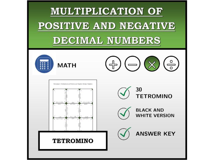 Tetromino | Multiplication of Positive and Negative Decimal Numbers | Math Activity