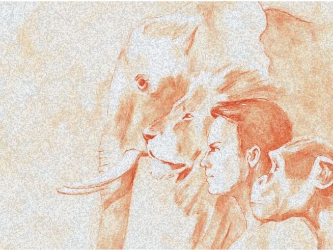 An Essay on Man Study Bundle