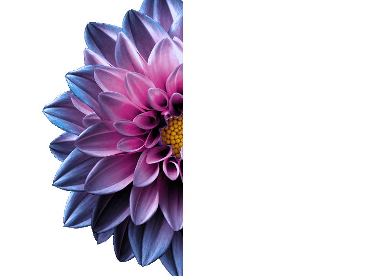 Draw the other half of the flower PowerPoint