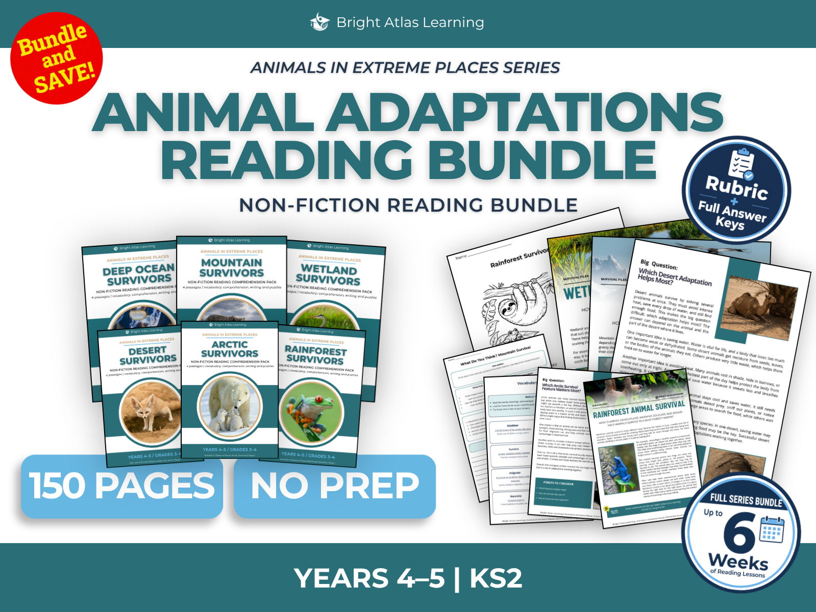 Animal Adaptations Reading Comprehension Bundle | KS2 Years 4–5
