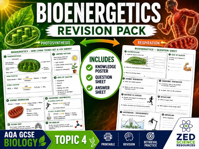 AQA GCSE Biology Topic 4 Bioenergetics Revision Pack | Knowledge Poster & Worksheet