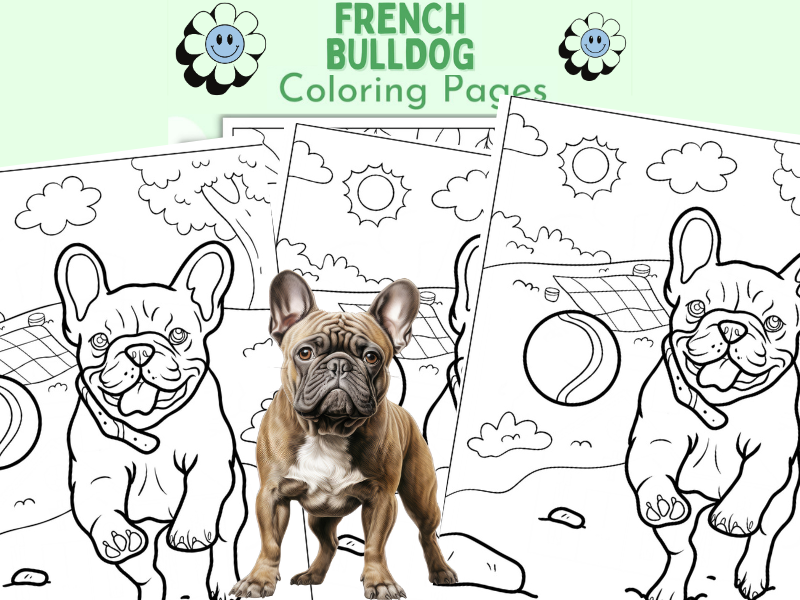 Adorable French Bulldog Coloring Pages