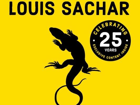 Holes - Adapted Text and Activities for SEND/Autism