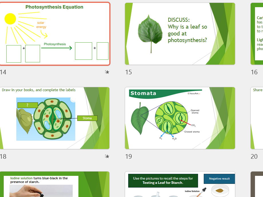 Biological Processes- Revision Lesson- KS3 Science