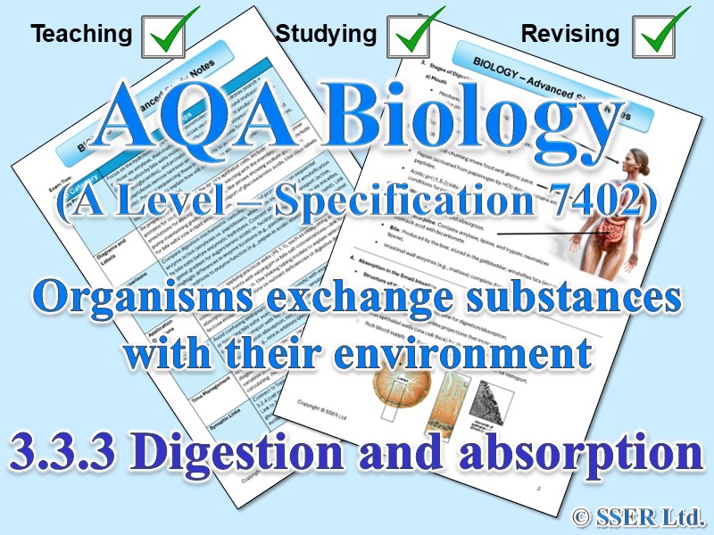 BIOA_AQA Topic Notes: 3.3.3 Digestion and absorption
