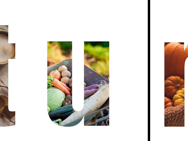 Autumn Display Letters Lowercase Mixed