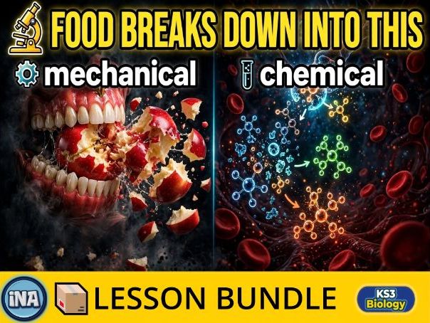 Mechanical and Chemical Digestion - Complete KS3 Biology Lesson Pack