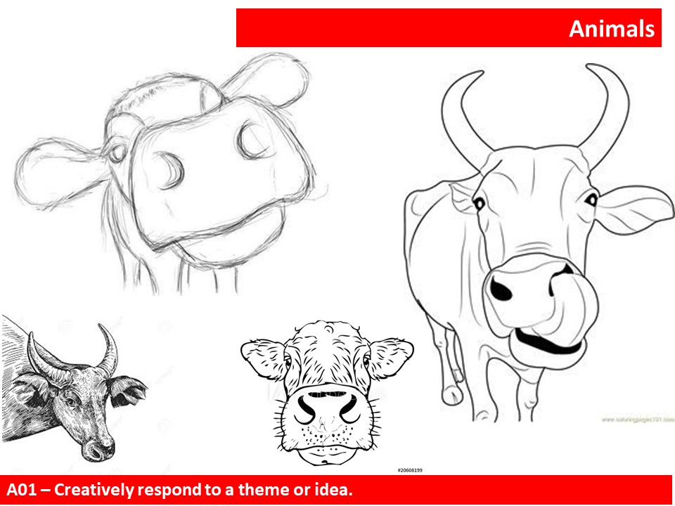 Who made homework image