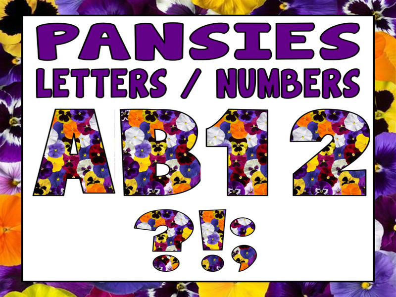 PANSIES FLOWERS DISPLAY LETTERING - LETTERS AND NUMBERS