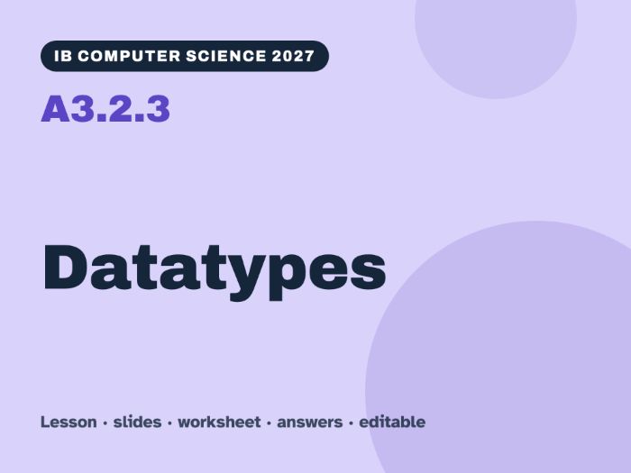IB Computer Science 2027 – A3.2.3 Datatypes – Lesson & Worksheet