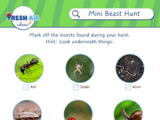 Mini Beast Scavenger Hunt