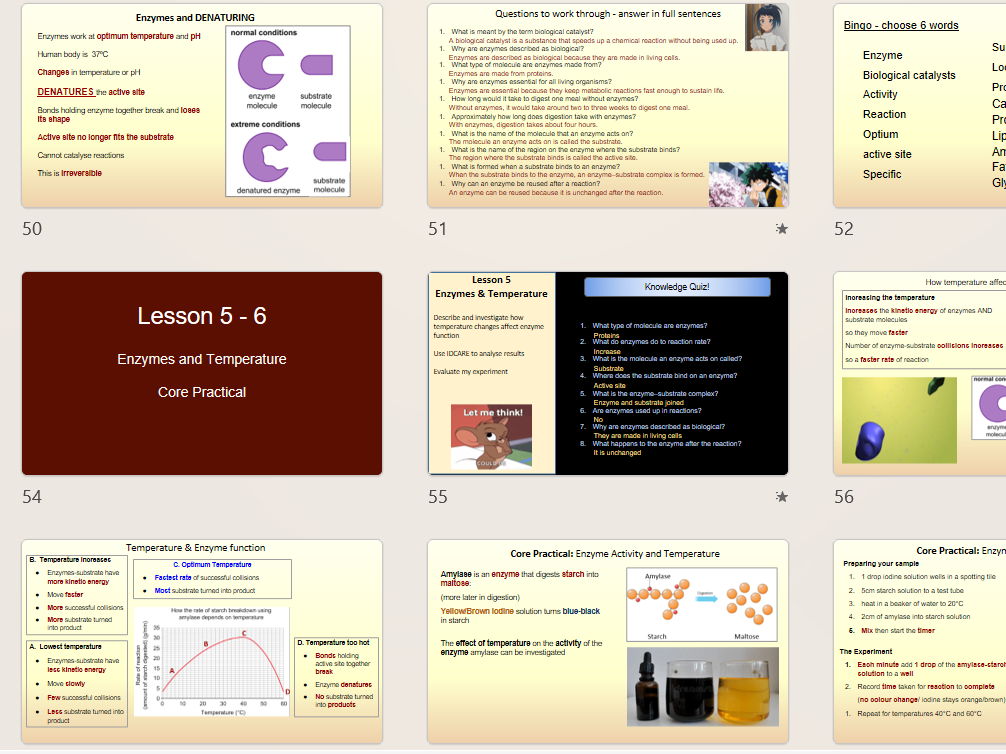 Edexcel International GCSE Biology – Unit 2: Structure & Functions in Living Organisms  Complete 65  Lesson Bundle Fully Planned | Exam-Ready