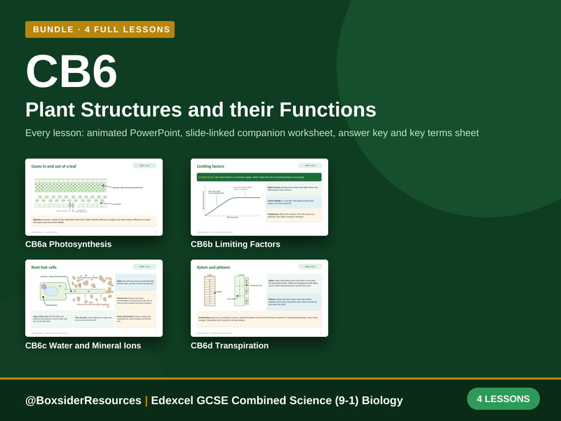 CB6 Plant Structures and Their Functions | Edexcel Combined Science (9-1) | 4 Lesson Bundle
