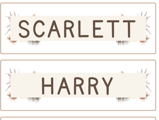 Neutral Boho Name Labels | Editable Classroom Name Tags | PowerPoint Resource