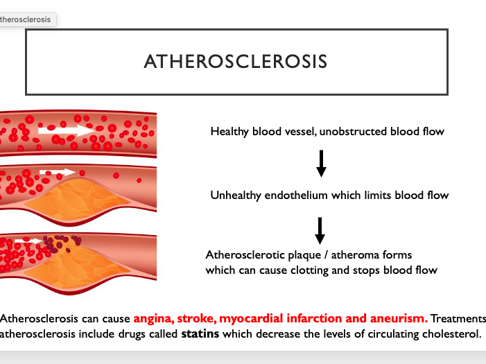 Edexcel A-level Biology Lifestyle, Health and Risk 1.4-1.6