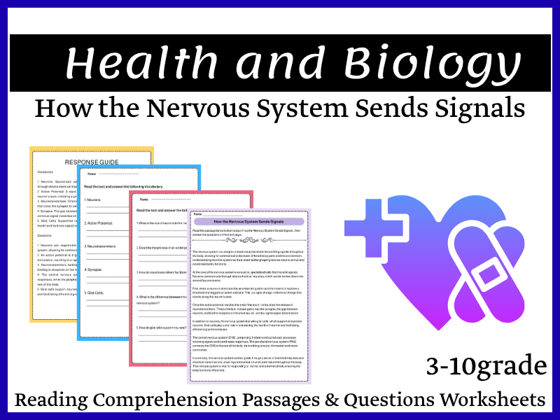 How the Nervous System Sends Signals Reading Comprehension Passages & Questions Worksheets