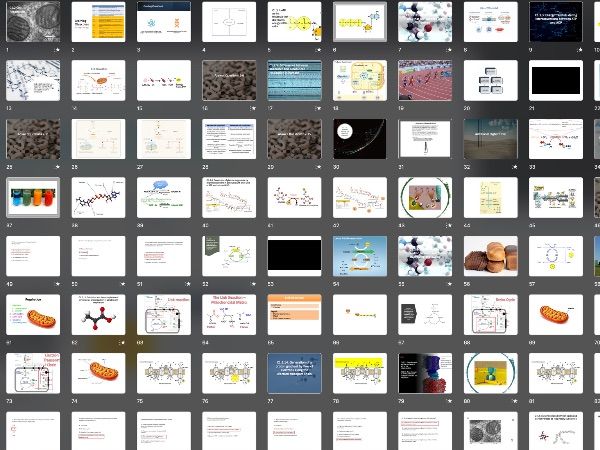 IBDP Biology C1.2 Cell Respiration Lesson Pack