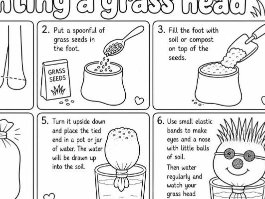 How to Plant A Grass Head Steps Colouring Worksheet