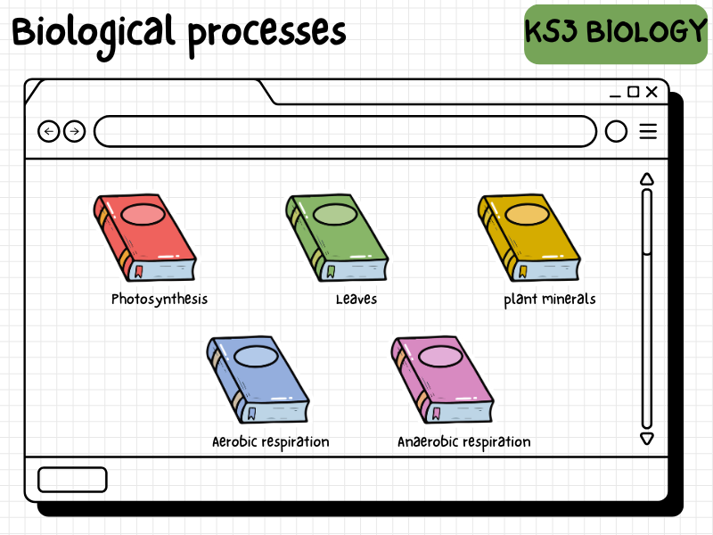 Biological processes - Activate KS3 Biology - BUNDLE!!!