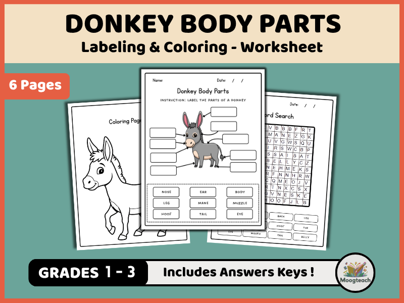Donkey Body Parts | Mammal Anatomy | Labeling & Coloring | Farm Animals | Science Worksheet | KS1 |