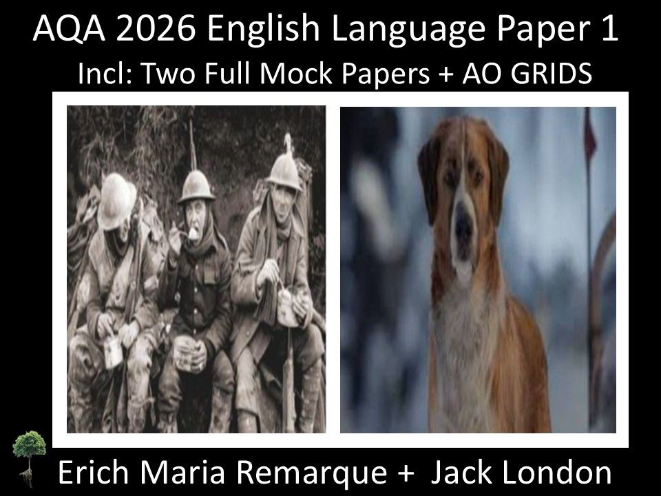 Two AQA 2026 English Language Paper 1 Mock | AO Grids