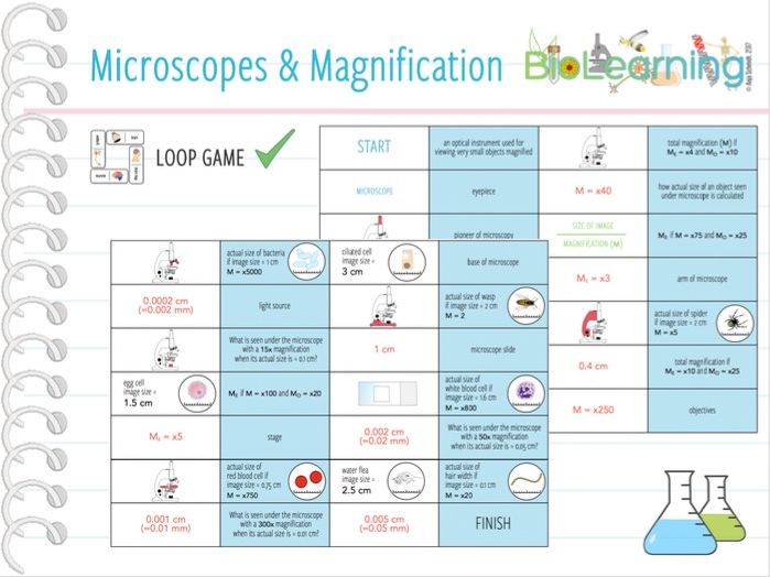 Secondary Biology Resources Biology Lessons for KS3, KS4, GCSE Tes