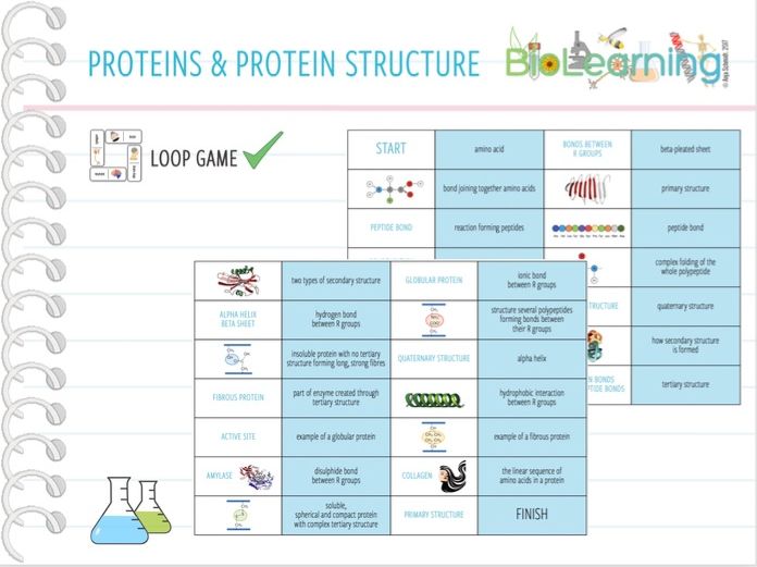 Proteins and protein structure - Loop Game (KS5) | Teaching Resources