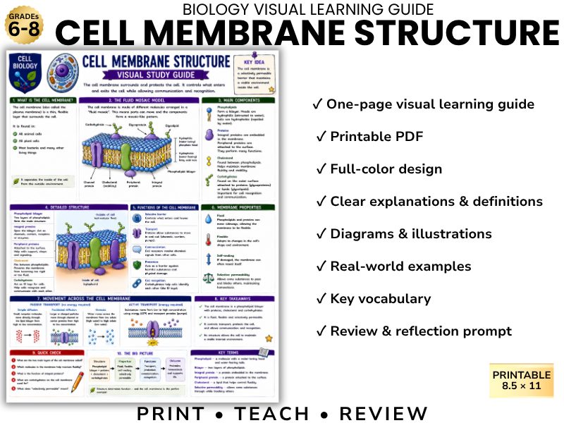CELL MEMBRANE STRUCTURE Biology Visual Learning Guide | Grade 8 & Middle School Science