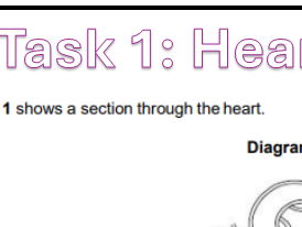 AQA GCSE Biology Higher Paper 1 Exam Practice
