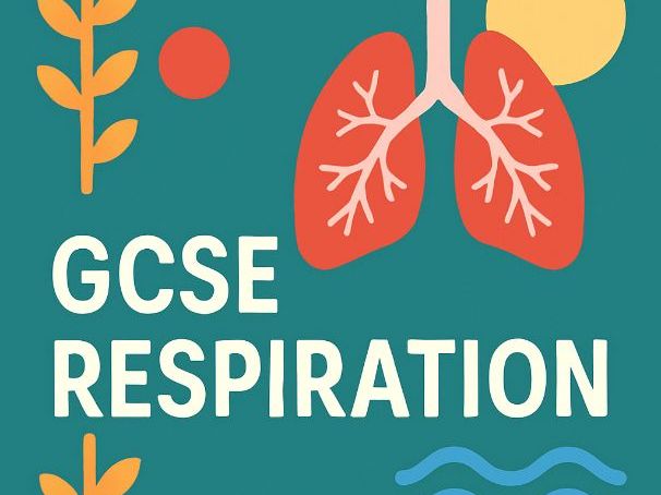 GCSE Respiration Activity