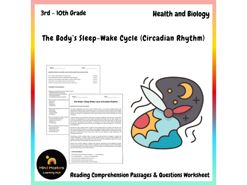 The Body’s Sleep-Wake Cycle (Circadian Rhythm) Reading Comprehension ...