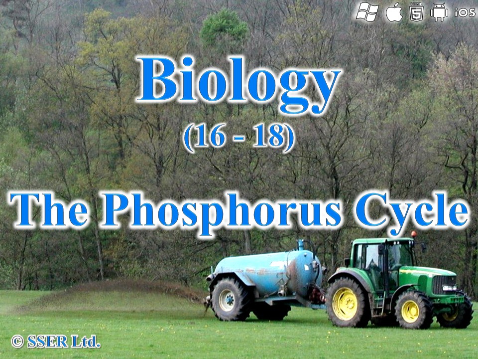 BioA_3.5.4 The Phosphorus Cycle